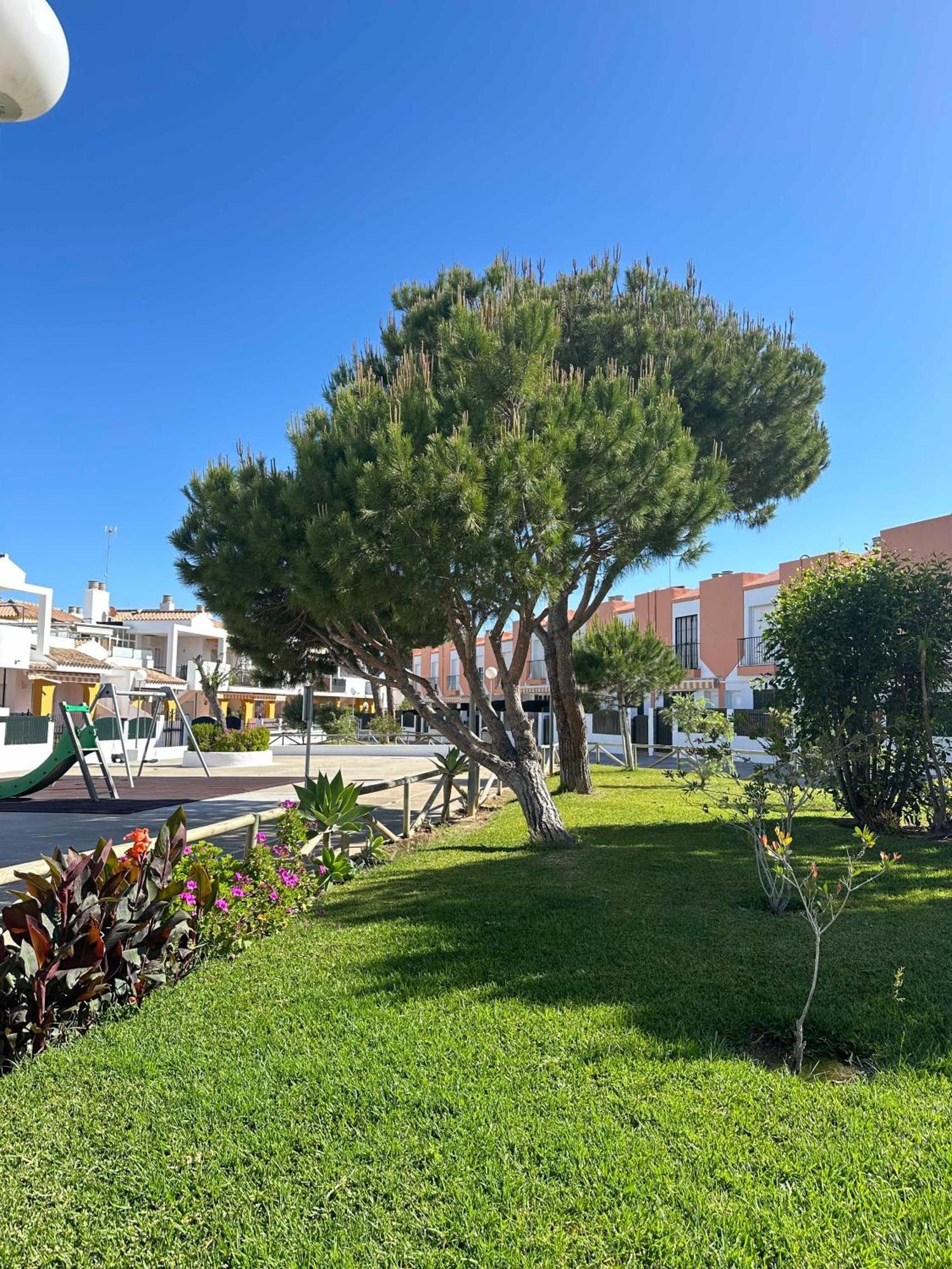 Duplex Playa Sol Ostra Apartment Chiclana de la Frontera Exterior photo
